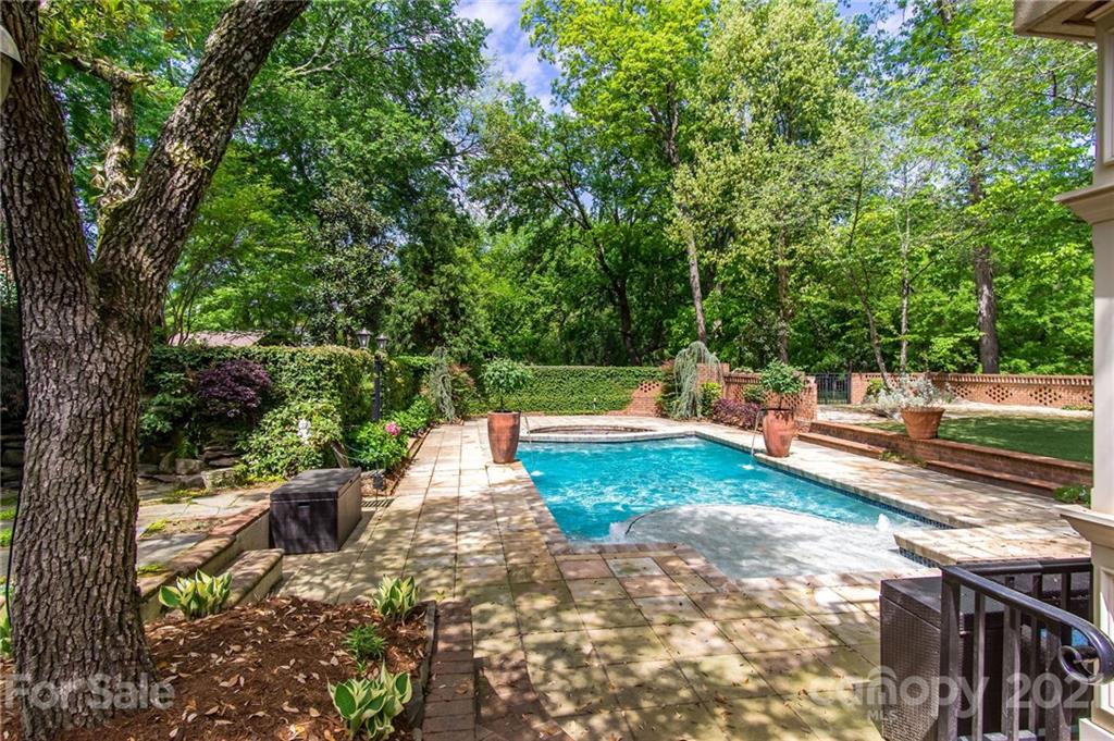 2132 Rolston Drive Charlotte, NC 28207 - Photo 23 of 48 a view of a yard with plants and large trees