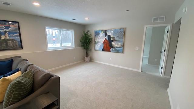 4842 Baker Reserve Lane Maple Plain, MN 55359 - Photo 42 of 50