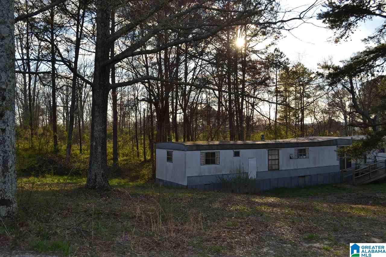 211 Reid Road Oneonta, AL 35121 - Photo 4 of 6