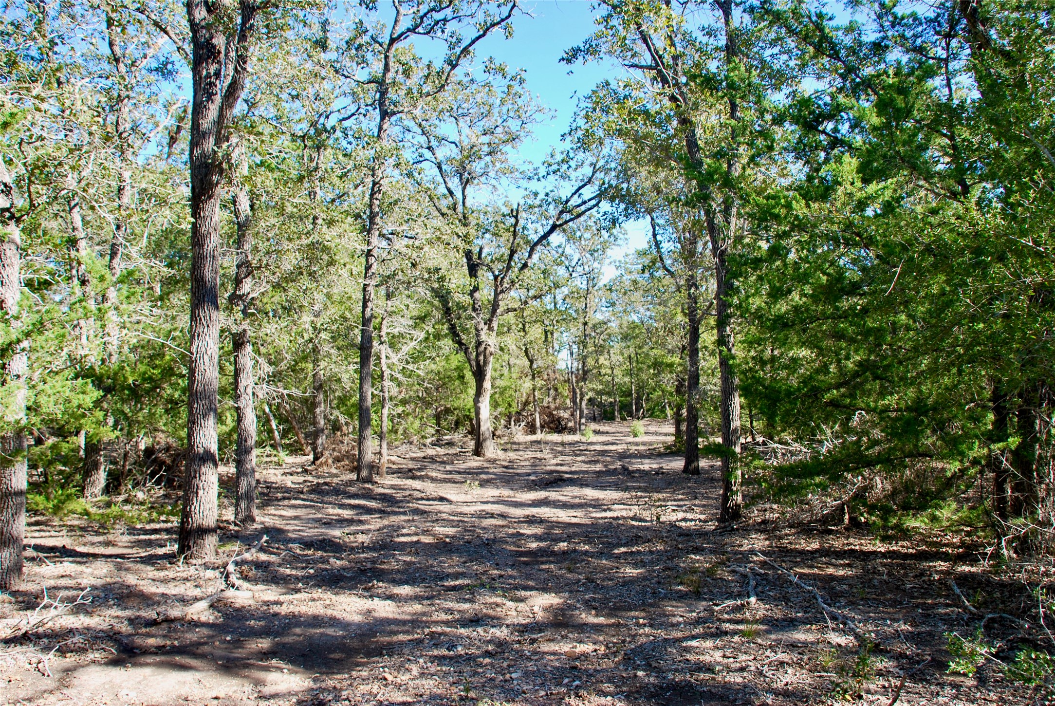 1727 Davis Road West Point, TX 78963 - Photo 29 of 40 a view of backyard with green space
