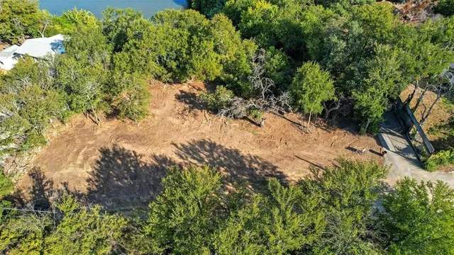 a view of a forest with a tree