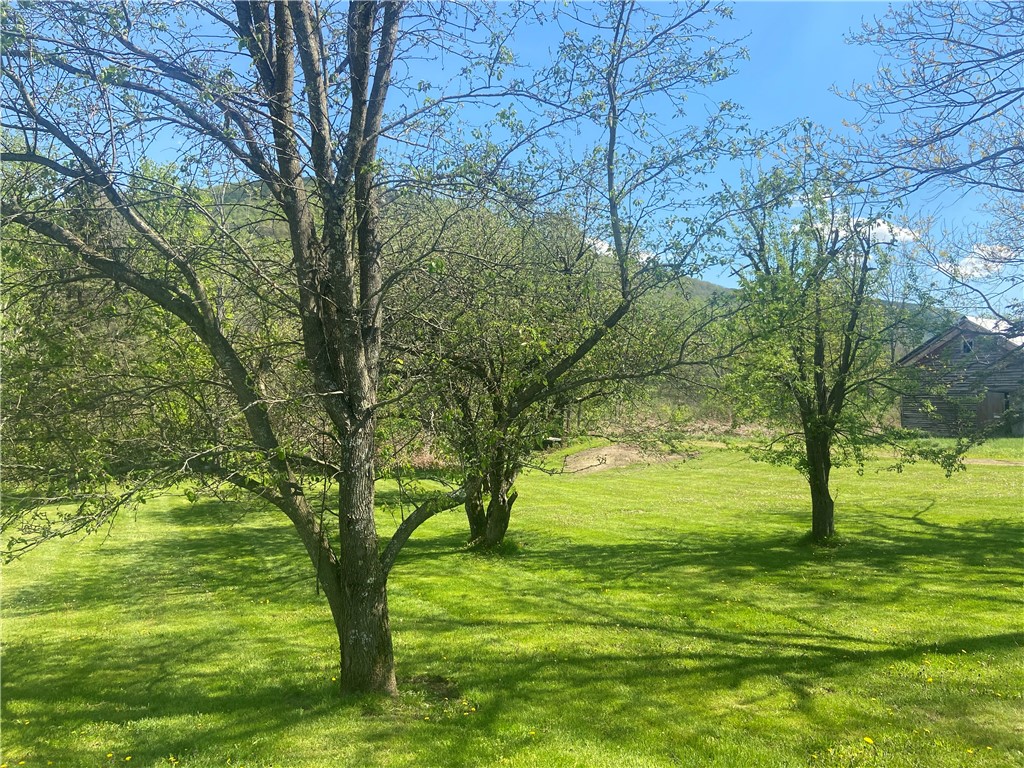 100 Hubbells Corner Road Roxbury, NY 12474 - Photo 30 of 31 Backyard