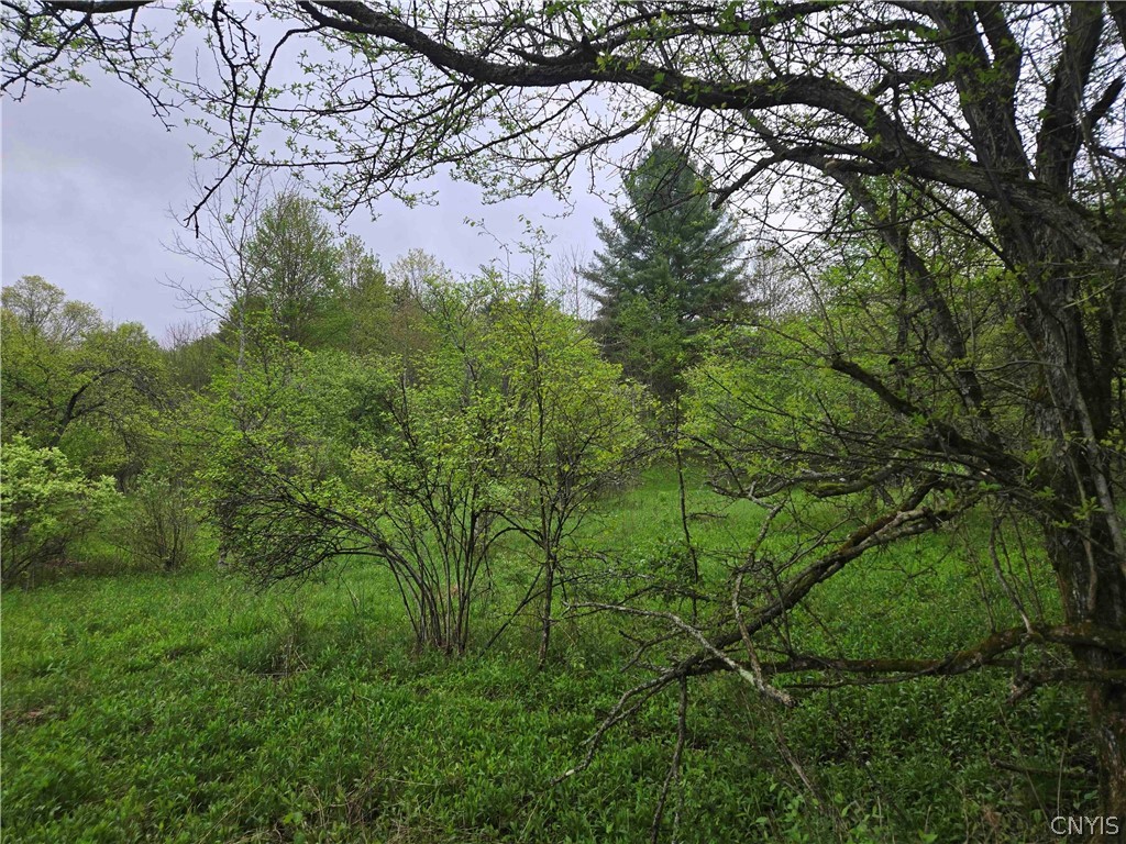 Mead Hollow Road Little Genesee, NY 14754 - Photo 11 of 15