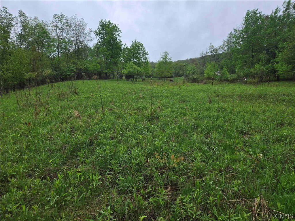 Mead Hollow Road Little Genesee, NY 14754 - Photo 12 of 15