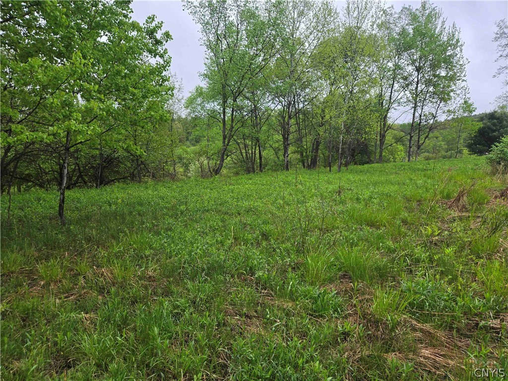 Mead Hollow Road Little Genesee, NY 14754 - Photo 13 of 15