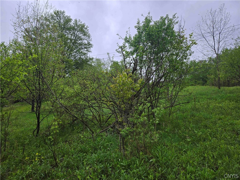 Mead Hollow Road Little Genesee, NY 14754 - Photo 14 of 15