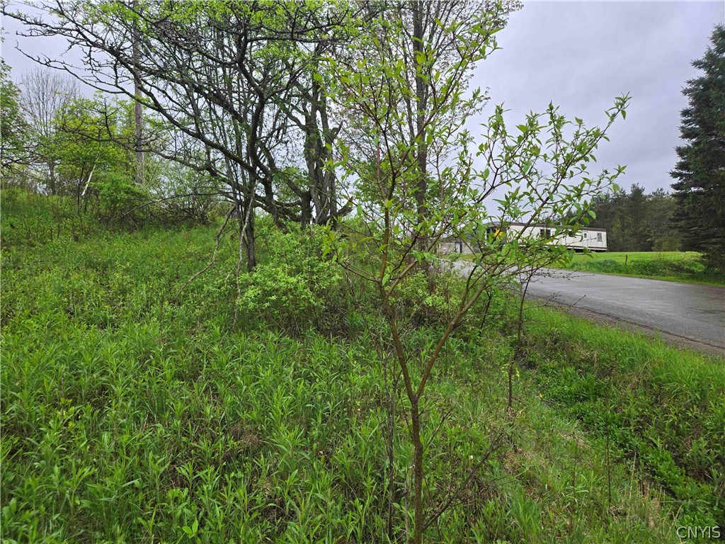 Mead Hollow Road Little Genesee, NY 14754 - Photo 15 of 15