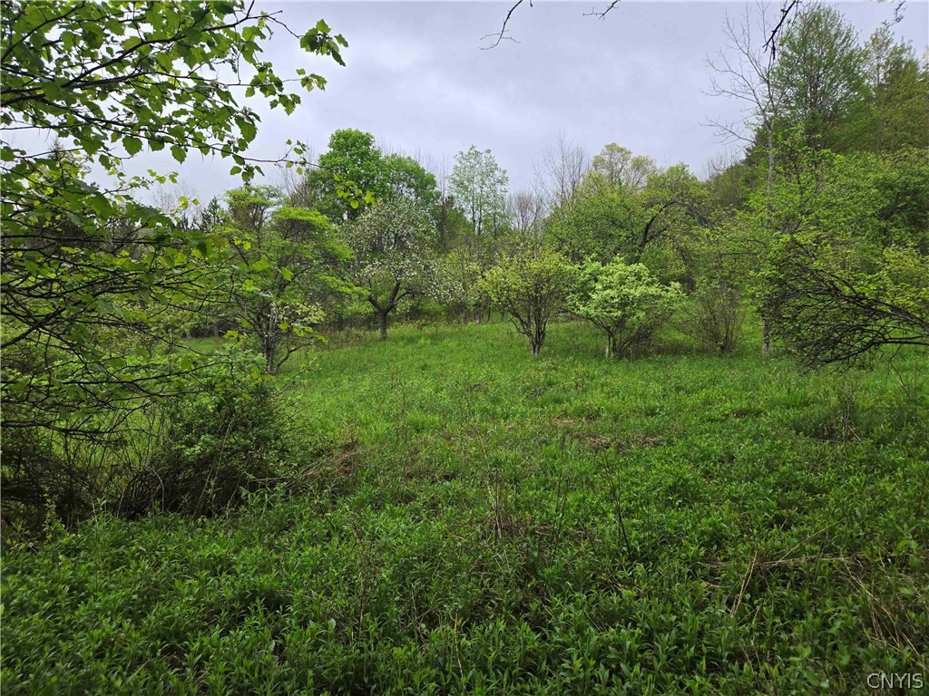 Mead Hollow Road Little Genesee, NY 14754 - Photo 3 of 15