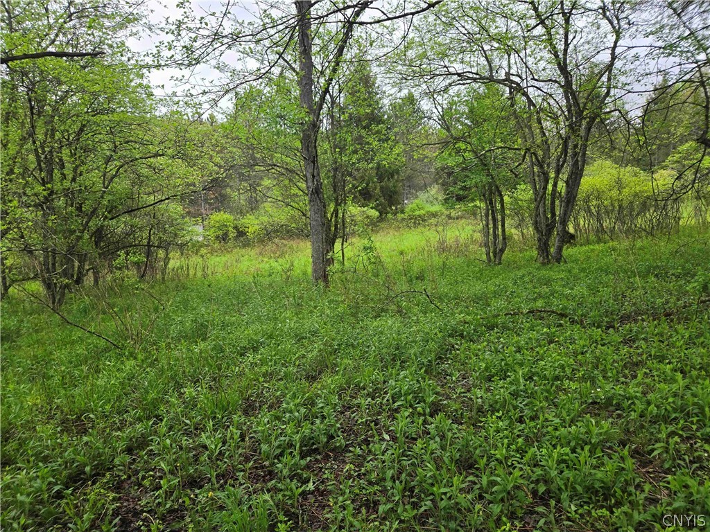 Mead Hollow Road Little Genesee, NY 14754 - Photo 4 of 15