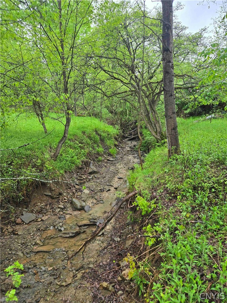Mead Hollow Road Little Genesee, NY 14754 - Photo 5 of 15