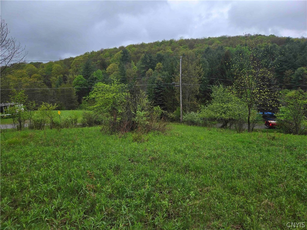 Mead Hollow Road Little Genesee, NY 14754 - Photo 6 of 15