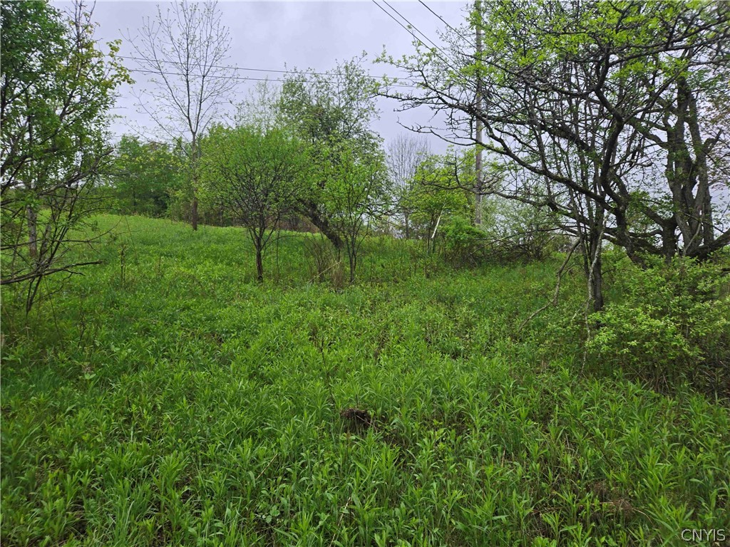 Mead Hollow Road Little Genesee, NY 14754 - Photo 7 of 15