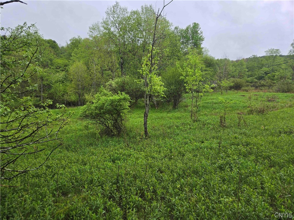 Mead Hollow Road Little Genesee, NY 14754 - Photo 8 of 15