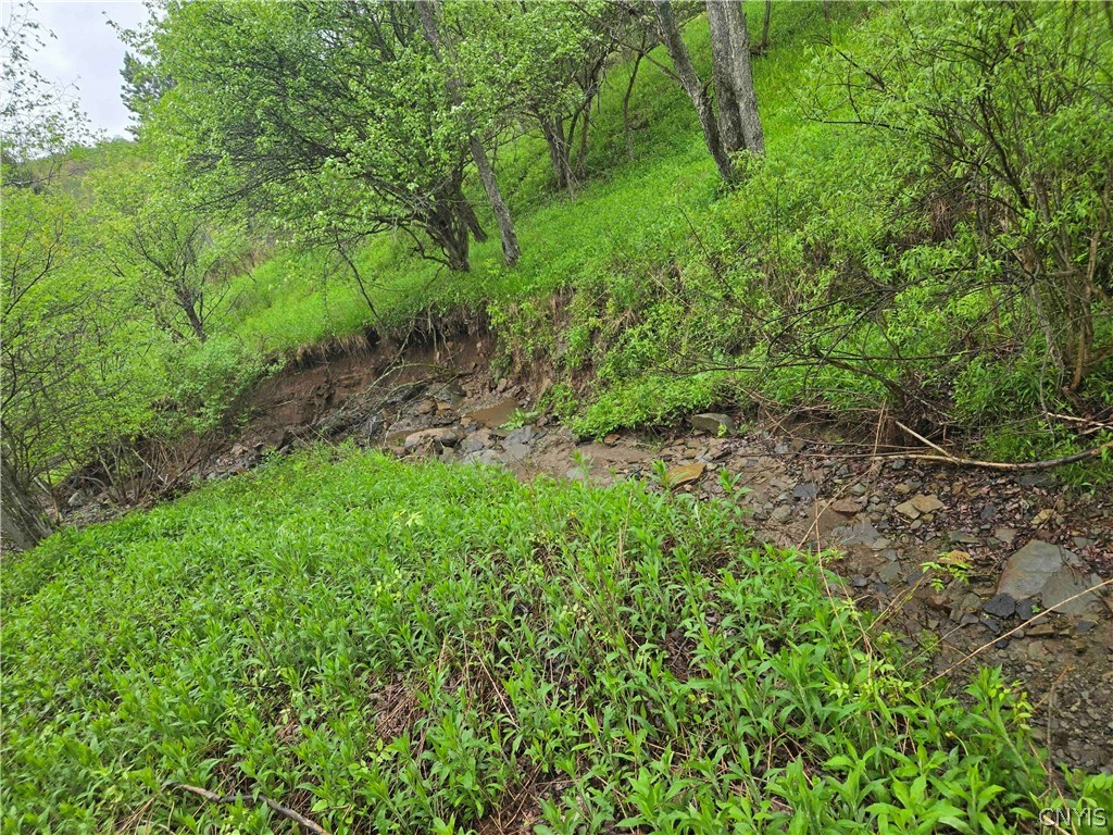 Mead Hollow Road Little Genesee, NY 14754 - Photo 9 of 15