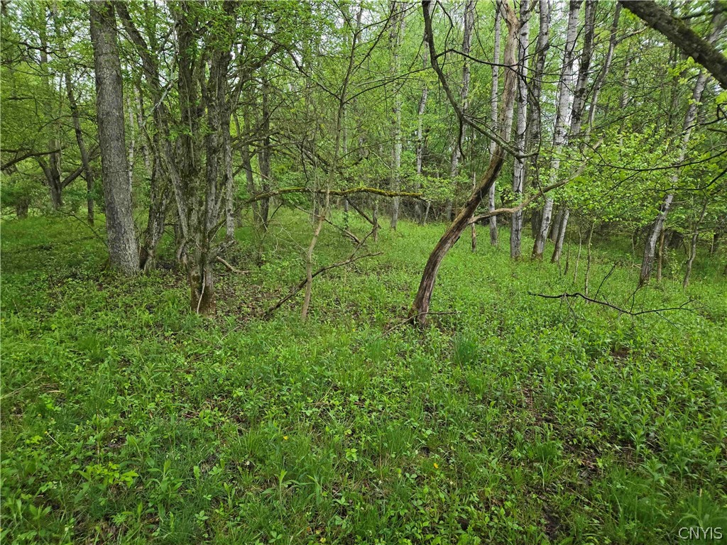 Mead Hollow Road Little Genesee, NY 14754 - Photo 10 of 15