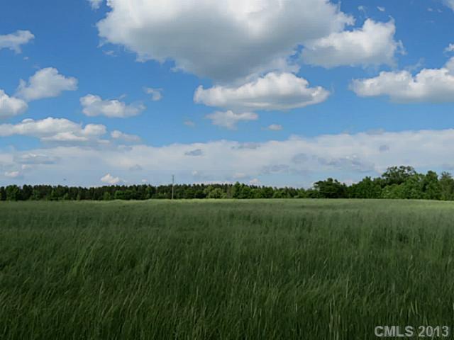 15-ac 15-ac Canal Road Catawba, SC 29704 - Photo 4 of 16 a view of a golf course with a lake