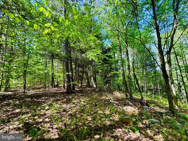$140,000 | 10 Paradise Point, James Creek, PA 16657