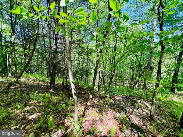 $140,000 | 10 Paradise Point, James Creek, PA 16657