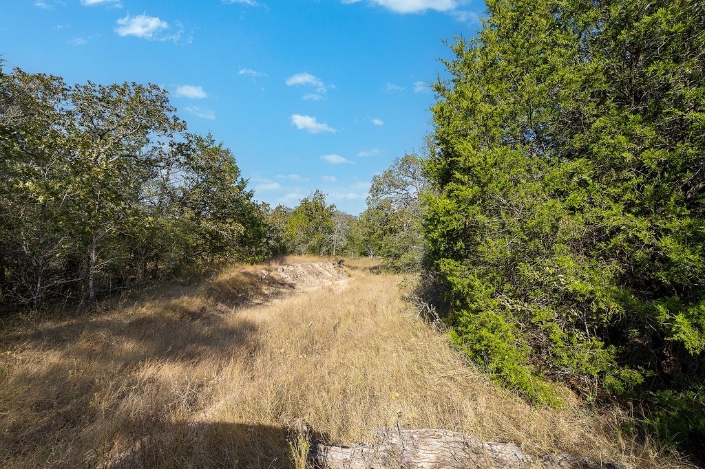 1883 County Road 273 Weimar, TX 78962 - Photo 15 of 25 a view of a forest with trees in the background