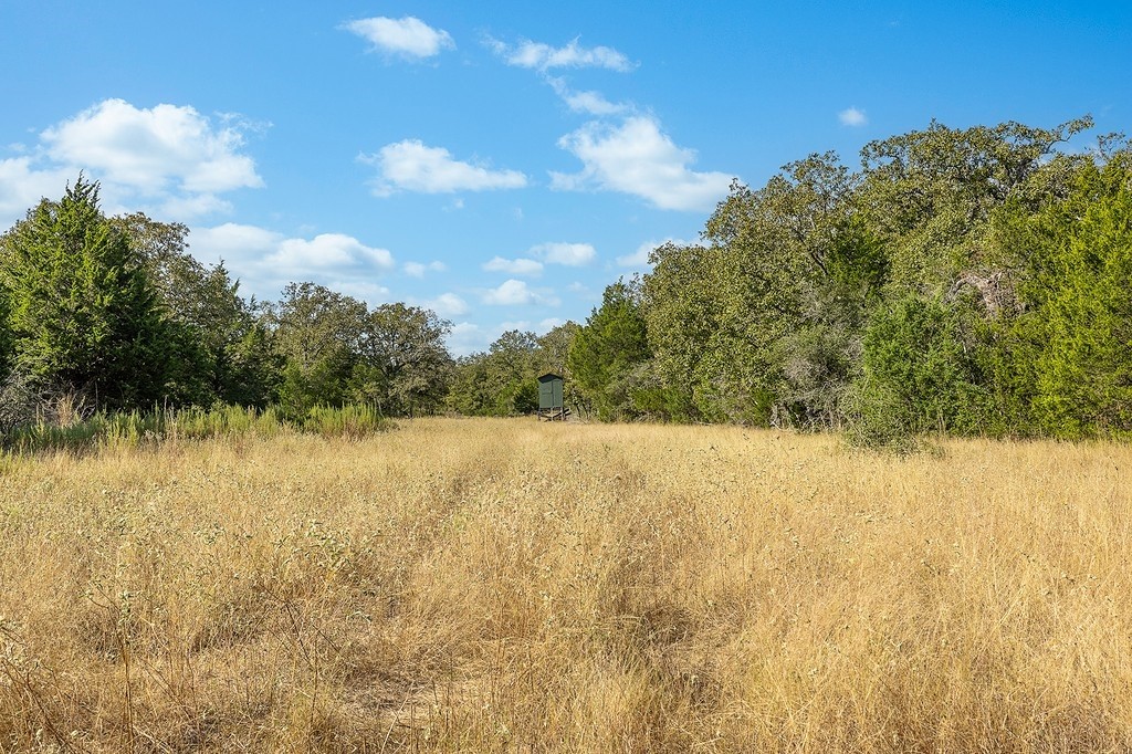 1883 County Road 273 Weimar, TX 78962 - Photo 18 of 25 a view of lake and mountain