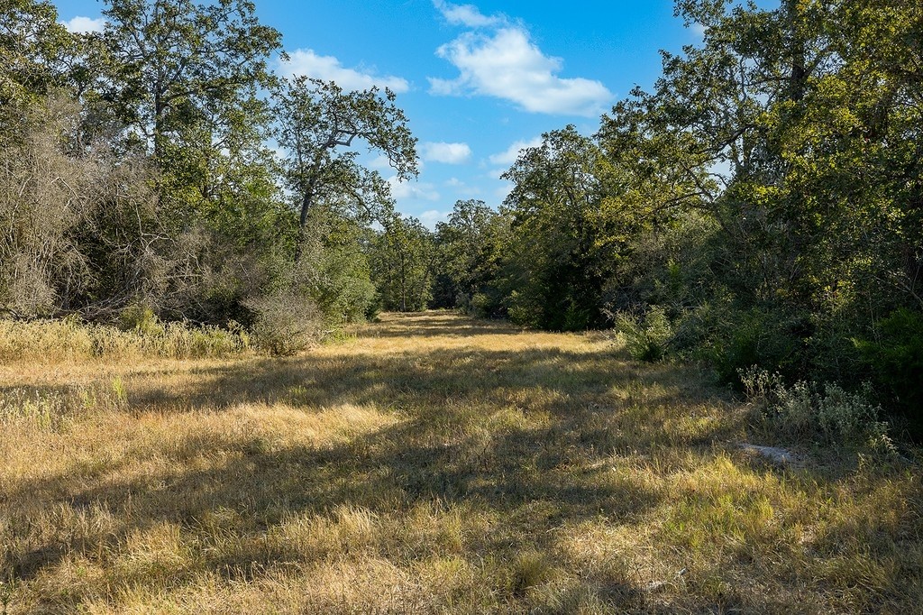 1883 County Road 273 Weimar, TX 78962 - Photo 20 of 25 a view of outdoor space and yard