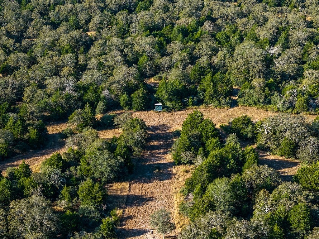 1883 County Road 273 Weimar, TX 78962 - Photo 4 of 25 an aerial view of a house with a yard