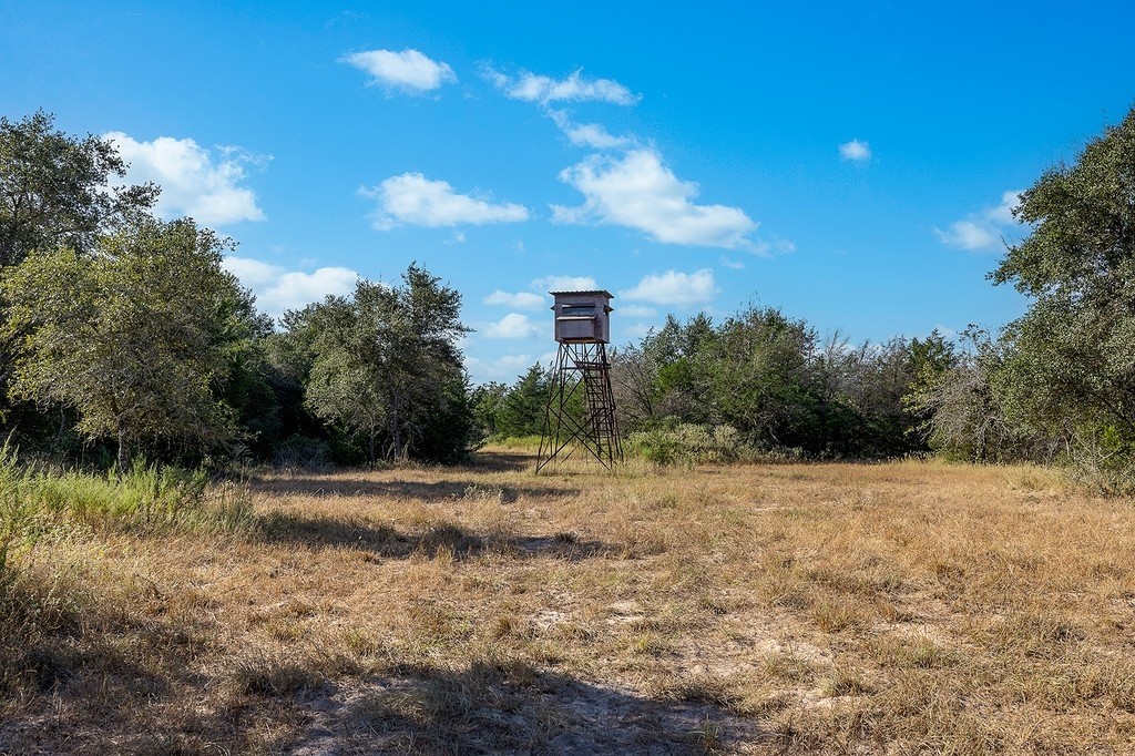 1883 County Road 273 Weimar, TX 78962 - Photo 5 of 25 a view of a yard with large trees