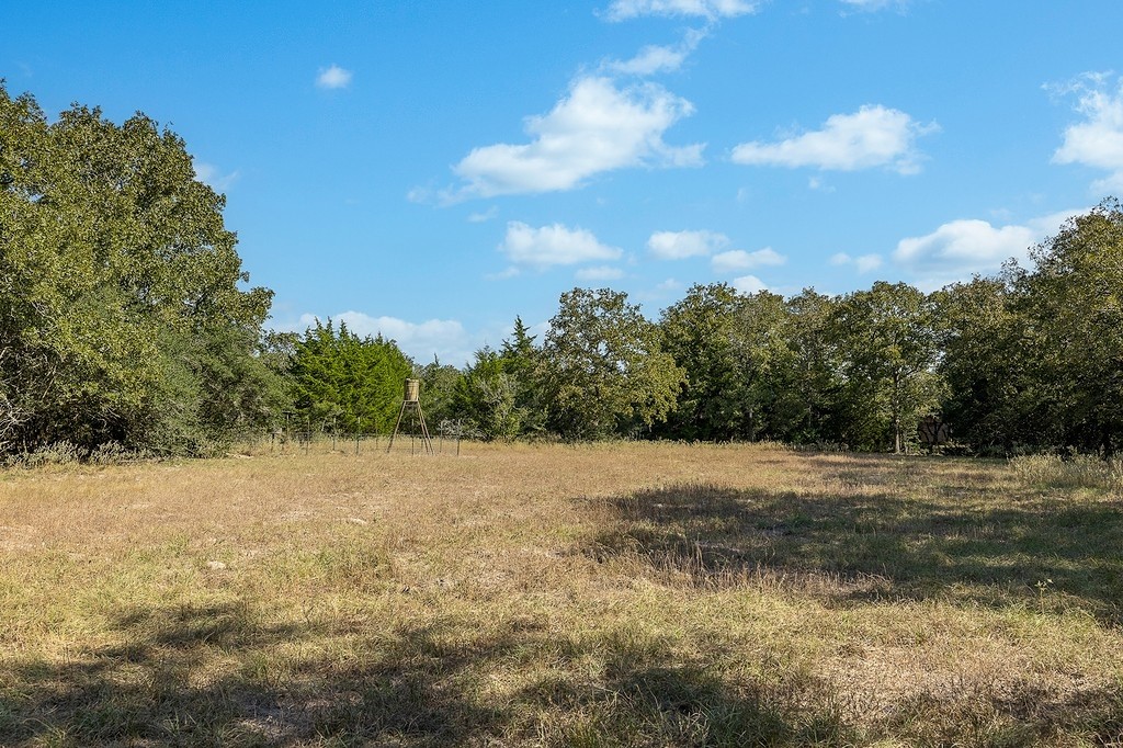 1883 County Road 273 Weimar, TX 78962 - Photo 10 of 25 a view of outdoor space with mountain view