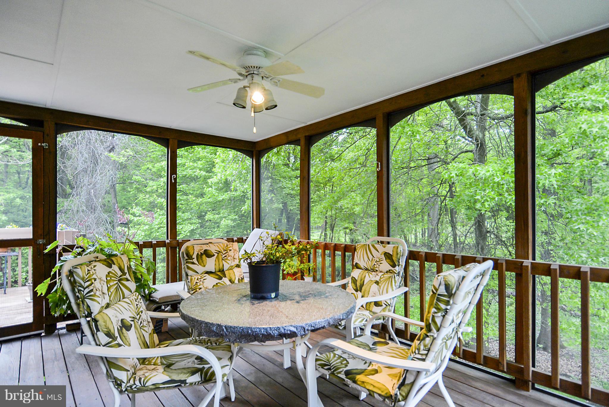 11501 Daffodil Lane Silver Spring, MD 20902 - Photo 17 of 30 Screened-In Deck/Porch