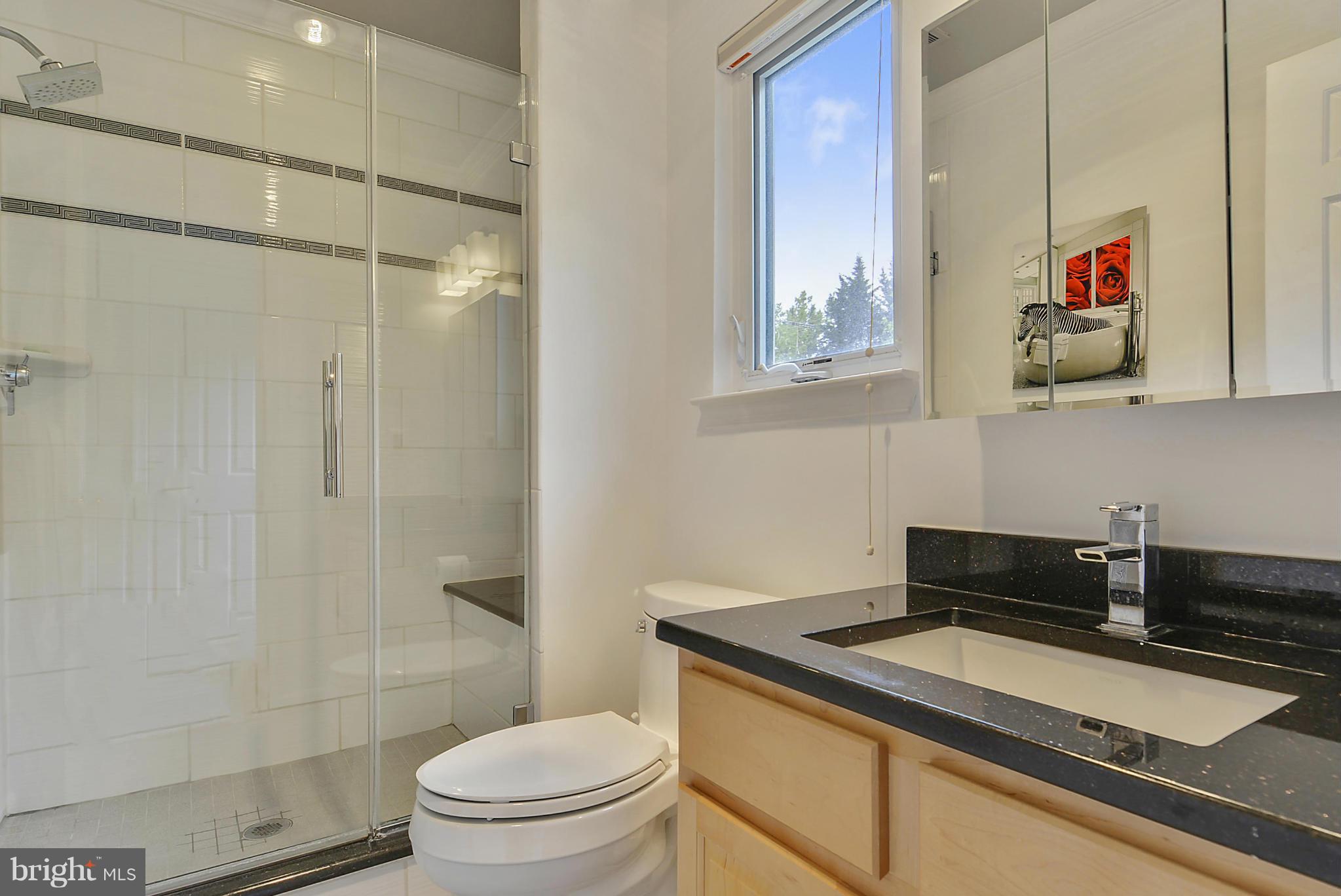 11501 Daffodil Lane Silver Spring, MD 20902 - Photo 20 of 30 Bath (Master)