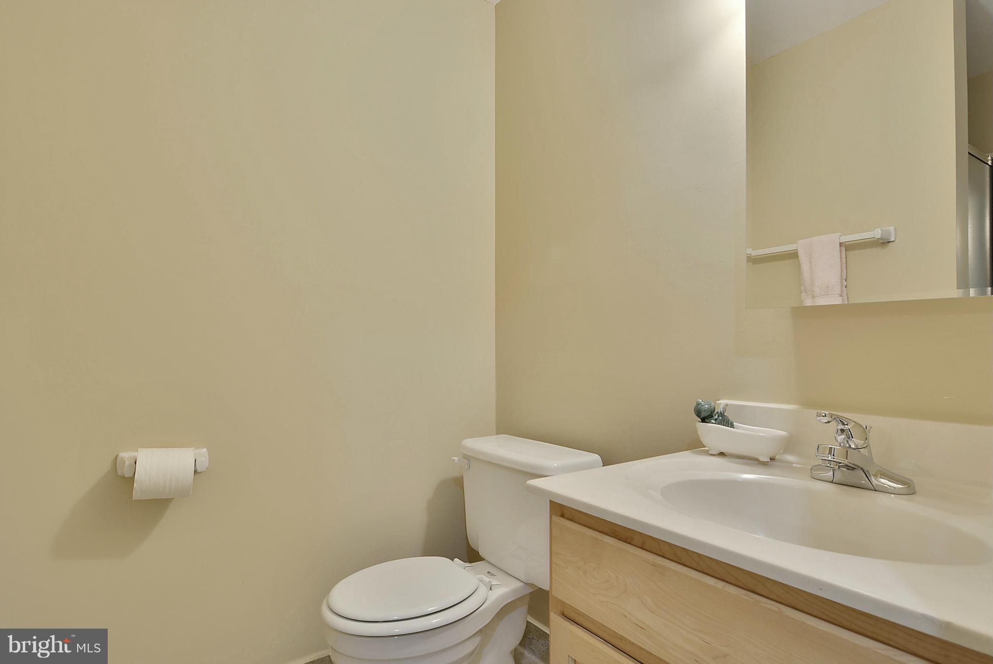 11501 Daffodil Lane Silver Spring, MD 20902 - Photo 27 of 30 Bath 3 in Lower Level