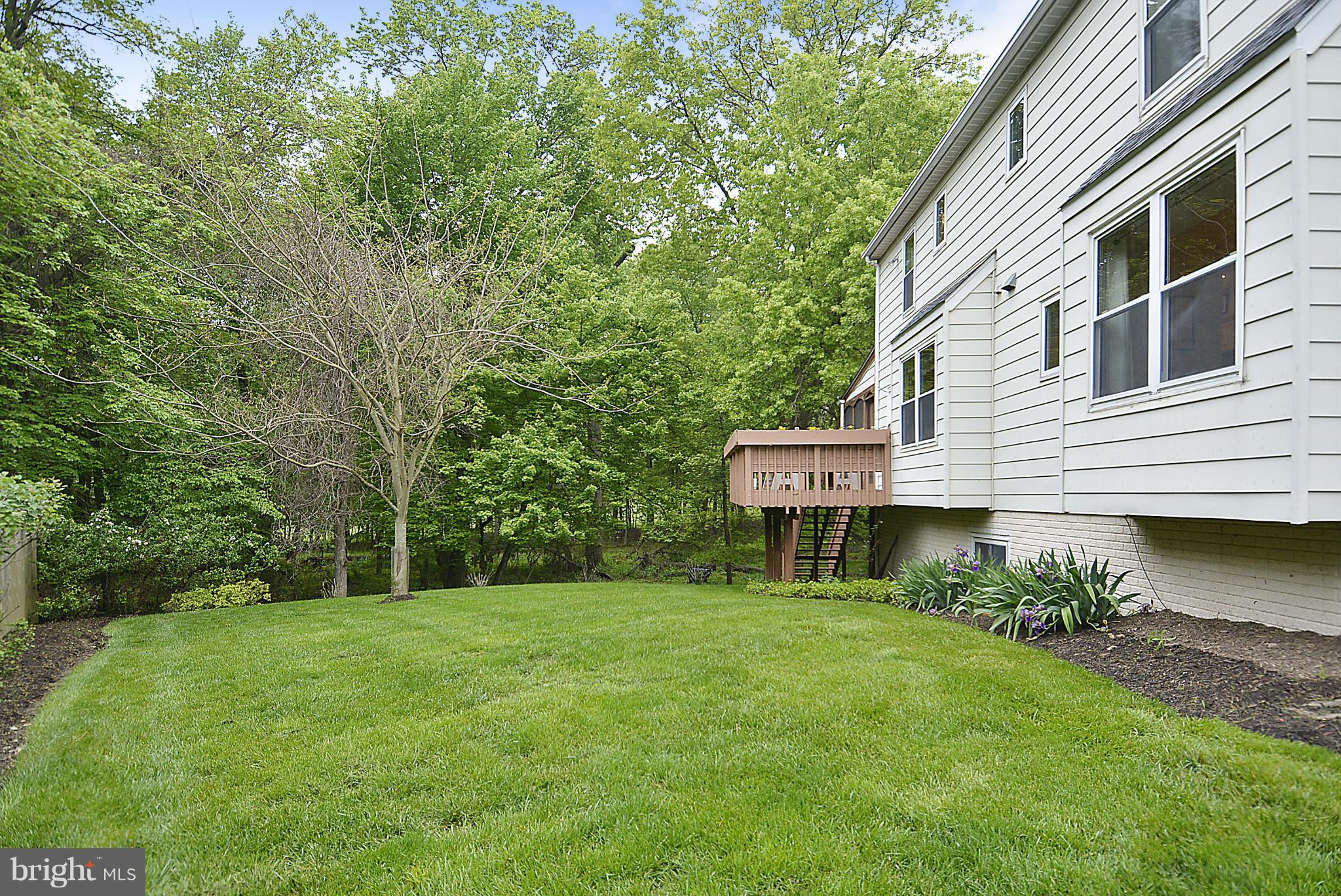 11501 Daffodil Lane Silver Spring, MD 20902 - Photo 29 of 30 Back Yard