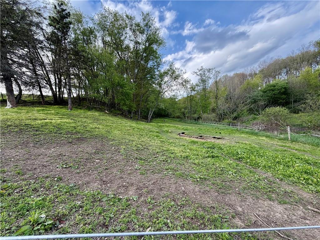 197 State Rte 1026 Dayton, PA 16222 - Photo 26 of 32 Back pasture