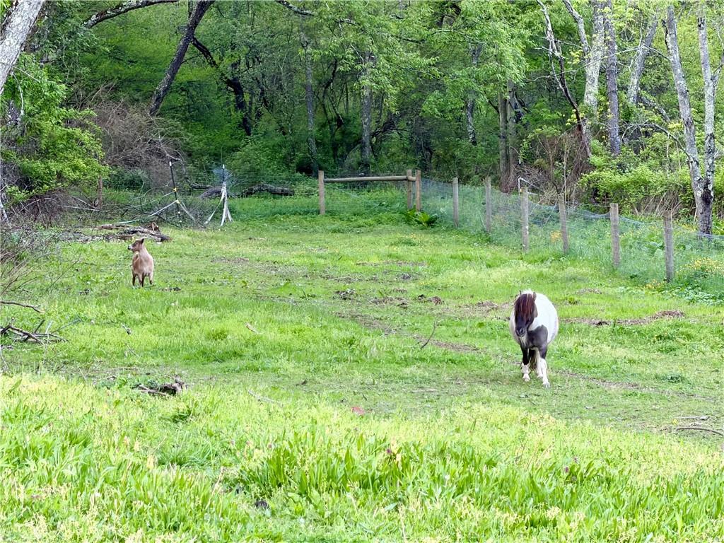 197 State Rte 1026 Dayton, PA 16222 - Photo 27 of 32 Back pasture