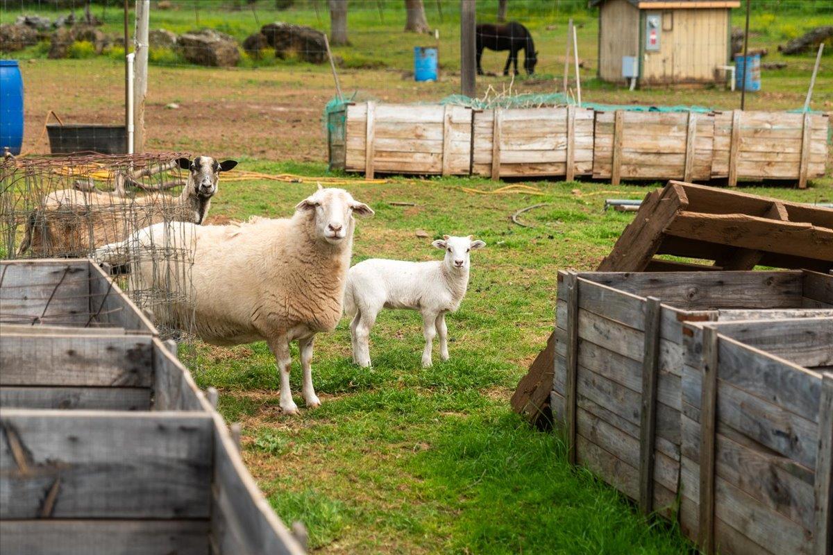 12242 Woodacre Road Grass Valley, CA 95949 - Photo 32 of 48