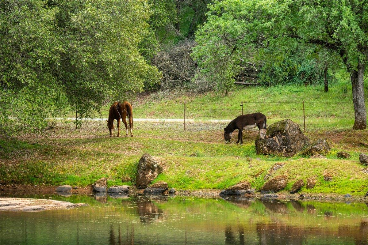 12242 Woodacre Road Grass Valley, CA 95949 - Photo 34 of 48