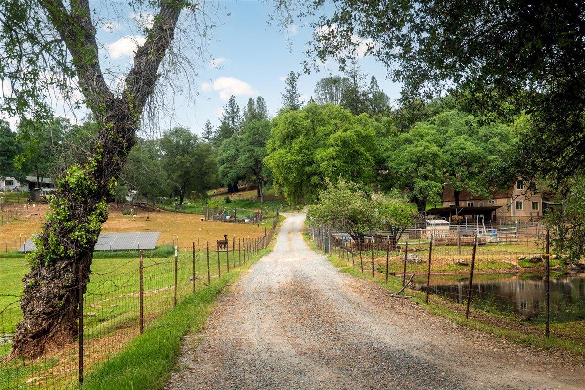 12242 Woodacre Road Grass Valley, CA 95949 - Photo 36 of 53