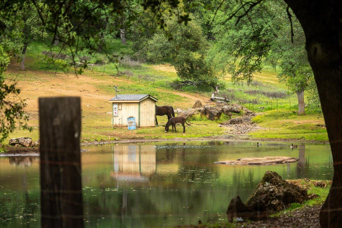12242 Woodacre Road Grass Valley, CA 95949 - Photo 39 of 48