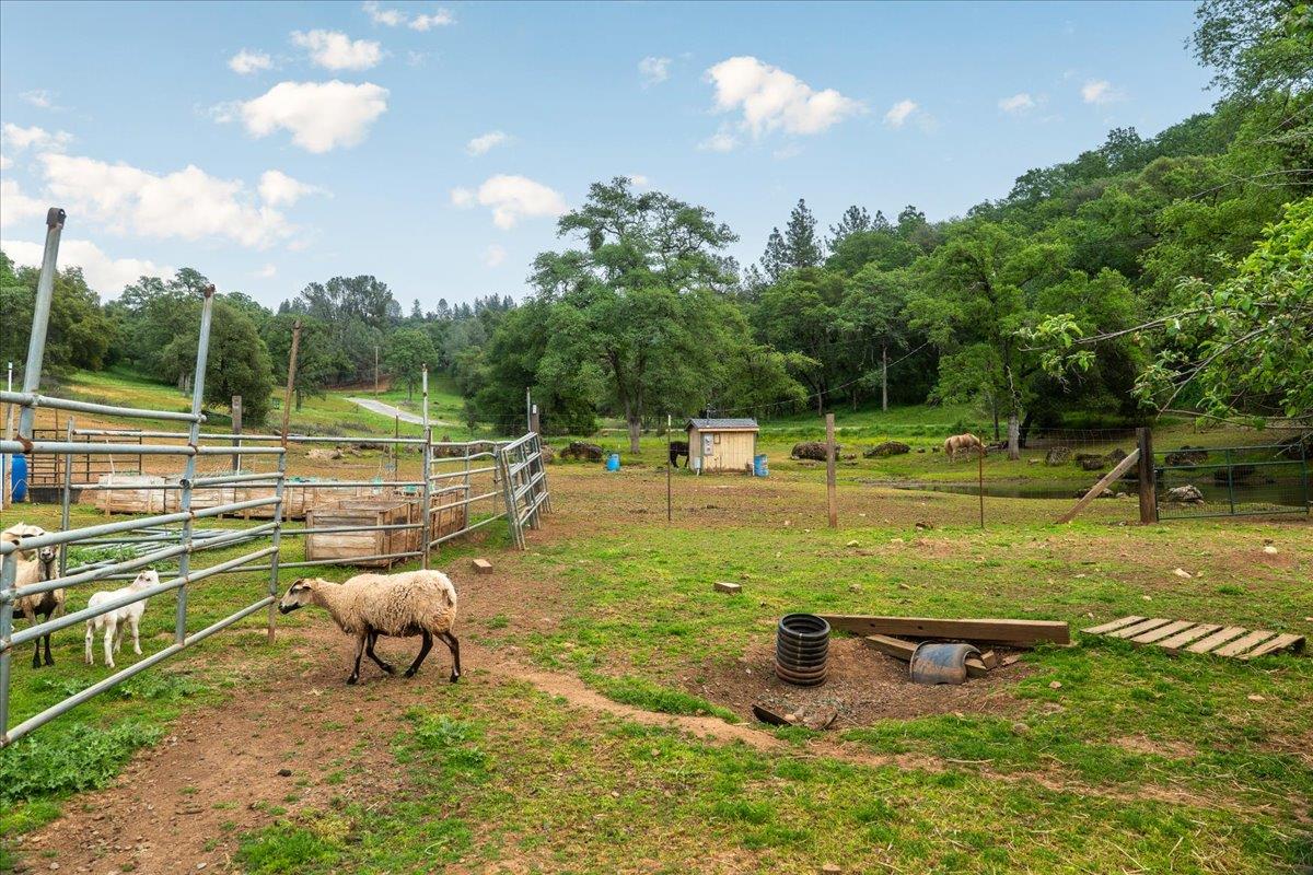 12242 Woodacre Road Grass Valley, CA 95949 - Photo 40 of 53