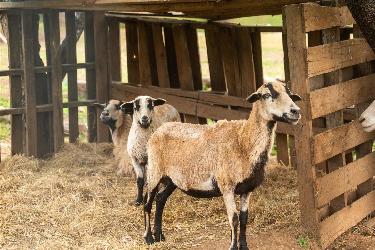 12242 Woodacre Road Grass Valley, CA 95949 - Photo 40 of 48