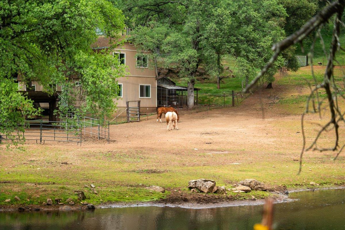 12242 Woodacre Road Grass Valley, CA 95949 - Photo 42 of 53
