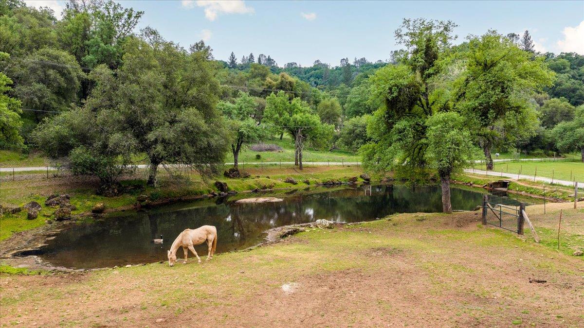 12242 Woodacre Road Grass Valley, CA 95949 - Photo 52 of 53