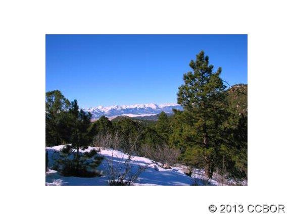 327 Tamarac Road Westcliffe, CO 81252 - Photo 1 of 1 Gallery Image 1