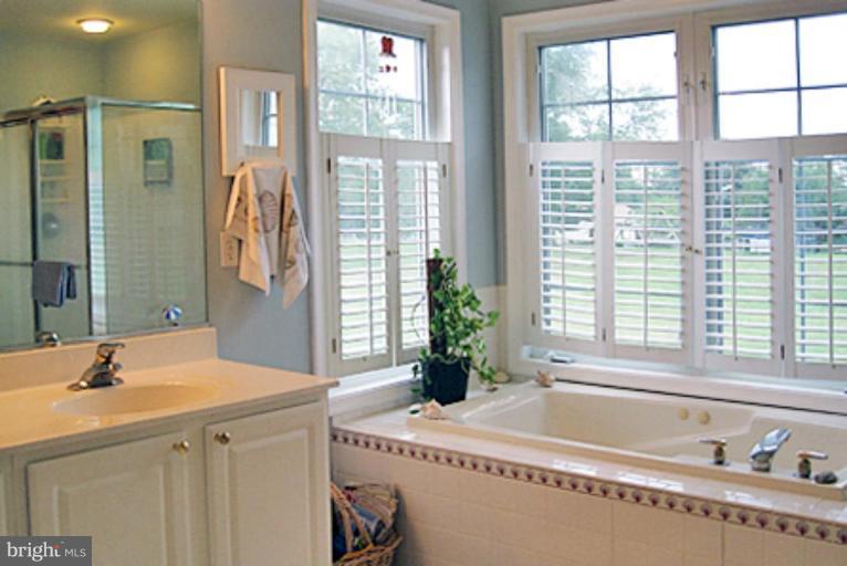 1209 Turkey Point Road Edgewater, MD 21037 - Photo 16 of 29 Master Bath