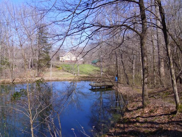 7465 South Harpeth Road Franklin, TN 37064 - Photo 17 of 30 a view of a yard with a tree