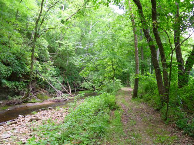 7465 South Harpeth Road Franklin, TN 37064 - Photo 22 of 30 a big yard with lots of green space and fog