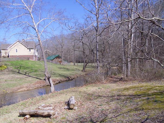 7465 South Harpeth Road Franklin, TN 37064 - Photo 24 of 30 a view of a backyard with large trees