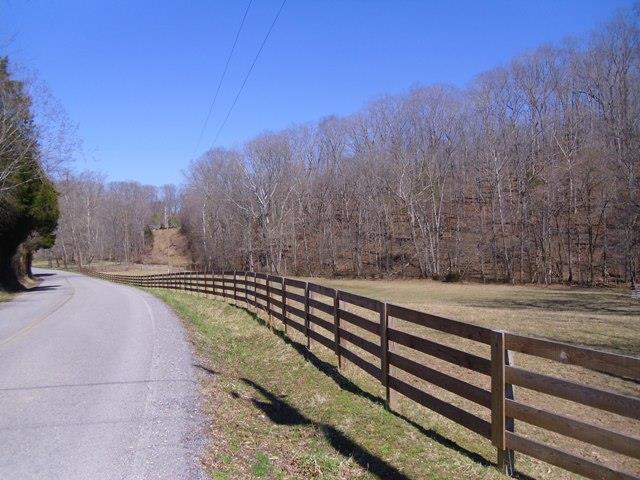 7465 South Harpeth Road Franklin, TN 37064 - Photo 29 of 30 a view of a yard with trees