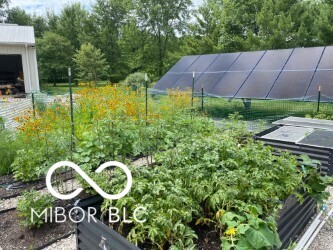 12886 West Road Zionsville, IN 46077 - Photo 56 of 58