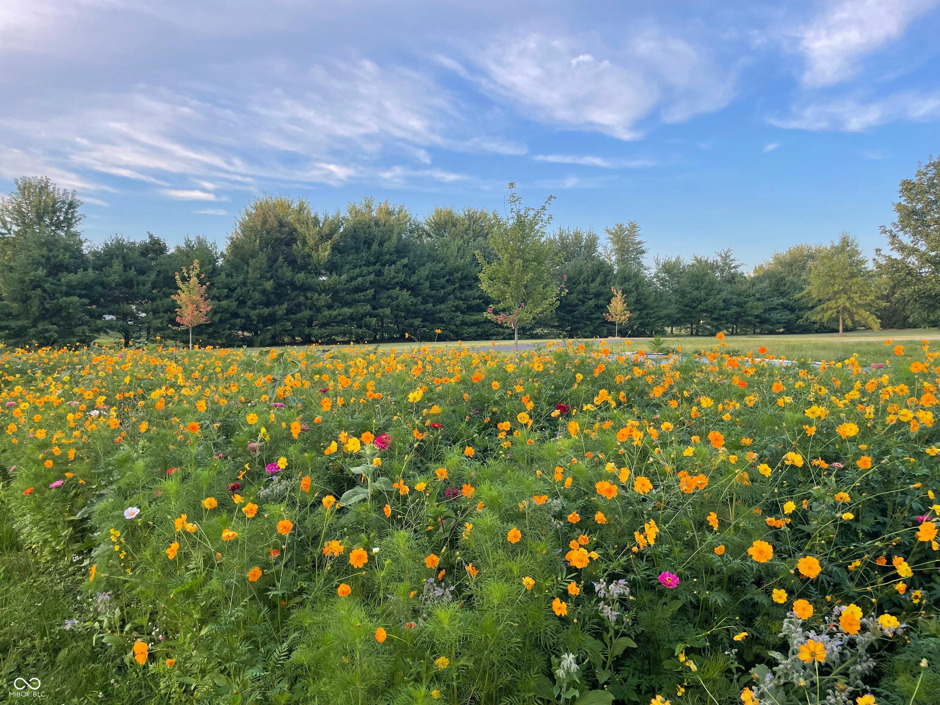 12886 West Road Zionsville, IN 46077 - Photo 57 of 58